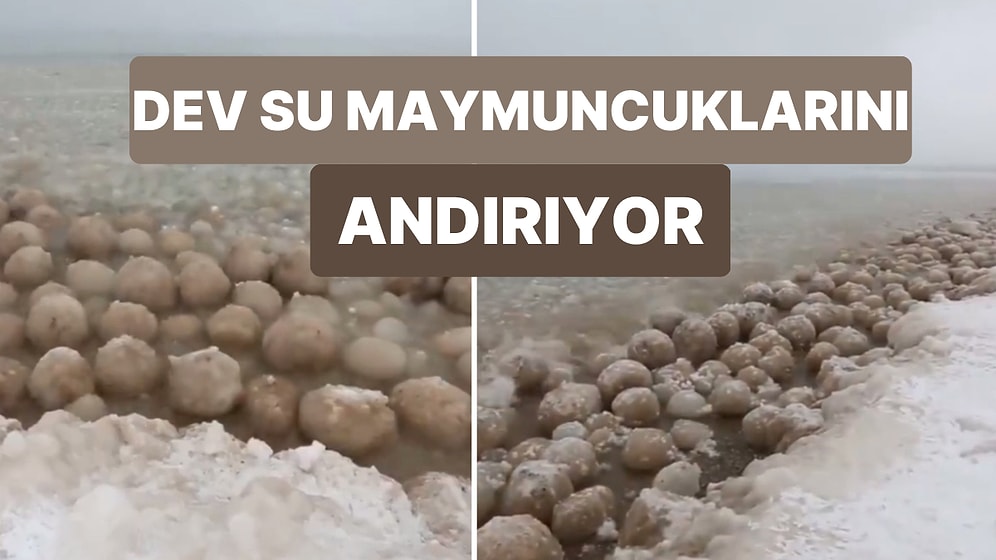 Buzdan Yumurtalarla Dolu Gibi Görünen Okyanus Görüntüsü Sosyal Medyada Viral Oldu!