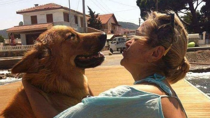 'Tarçın' İçin Velayet Davası: "O, Köpek Değil Benim Evladım"