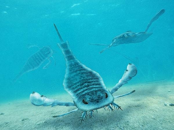 Bilim insanları, New Mexico'da 307 ila 303 milyon yıl önce yaşamış dev bir antik deniz akrebi türü keşfettiler.