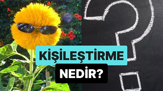 İnsan Dışındaki Varlıklara Hayat Vermenin Zekice Bir Yolu: Kişileştirme Nedir?