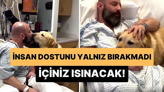 Hastaneye Kaldırılan İnsan Dostunu Bir An Bile Yalnız Bırakmayan Köpeğin İçinizi Isıtacak Görüntüleri