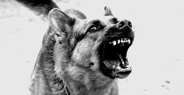 16. Я не умею различать социальные сигналы и видеть потенциальную опасность.