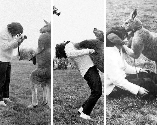 6. 1967'de John Drysdale, fotoğrafını çekmeye çalıştığı bir kanguru tarafından darbe aldıktan sonra aynı kanguru tarafından teselli edilirken kameraya yansıyan o anlar👇