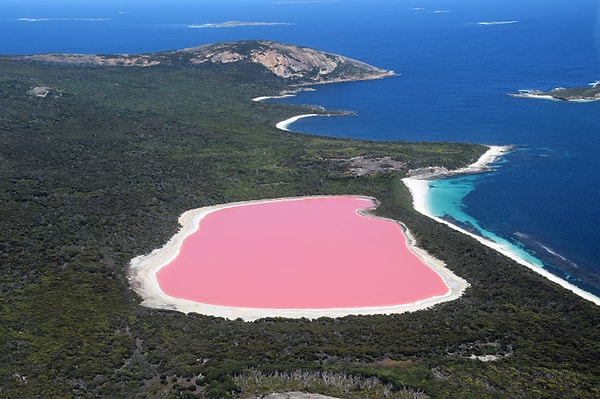 Dünyadaki pembe göllere ait görseller photoshop gibi görünse de hepsi tamamen doğal.