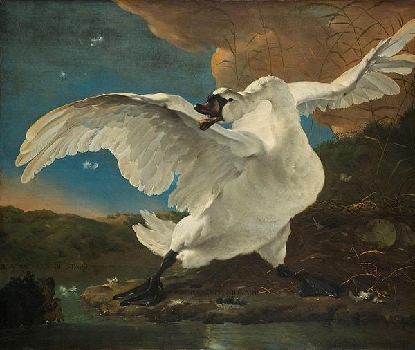 Metafora gelince kuğuların ölmeden önce bir şarkı söylediği eski bir efsanedir. Ezop'un The Swan and the Goose adlı masalında, bir adam bir kaz ve kuğu satın alır. Bunlardan ilki besiye alınıp yenmesi, ikincisi ise şarkısı için saklanır.