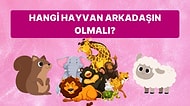Hangi Hayvan Senin Yakın Arkadaşın Olmalı?