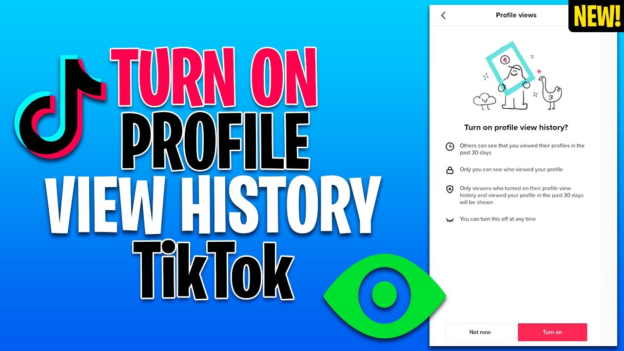 How To Turn Off Profile Views in TikTok