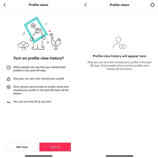How To Activate Profile View History On TikTok