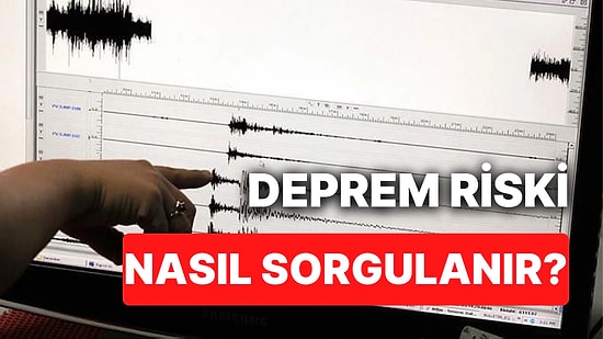 Deprem Riski Sorgulama Nasıl Yapılır? e-Devlet 'Evim Depreme Dayanıklı mı?' Sorgulama Ekranı