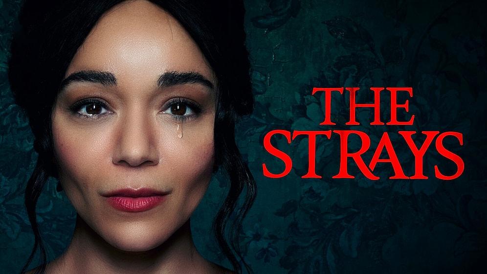 Netflix Releases British Psychological Drama ‘The Strays’: Is it Worth Watching?