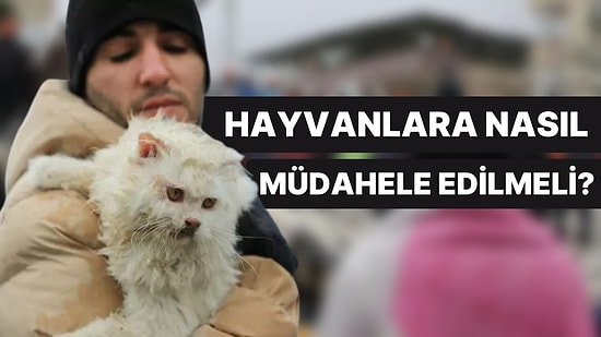 Olası Bir Deprem Anında Hayvanlara Nasıl Müdahale Edilmeli?