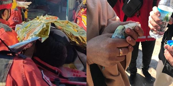 Depremin 55. saatinde enkazdan çıkartılan küçük erkek çocuğu, deprem anında yakalayıp avucunun içinde taşıdığı muhabbet kuşuyla birlikte sağ olarak kurtarıldı...