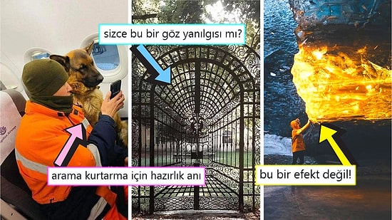 Gördüğünüz Anda İçinizin Yağlarını Eritip Sizi Pamuk Gibi Yapacak Birbirinden Etkileyici 15 Görsel