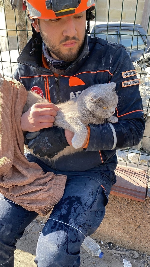 Depremin yıkıcı etkilerinin bir an önce ortadan kalkmasını, daha fazla can ve mal kaybı yaşanmamasını diliyoruz. Can dostlarımızın bir an önce sağlıklarına kavuşmalarını ve etrafta koşturup durmalarını diliyoruz...