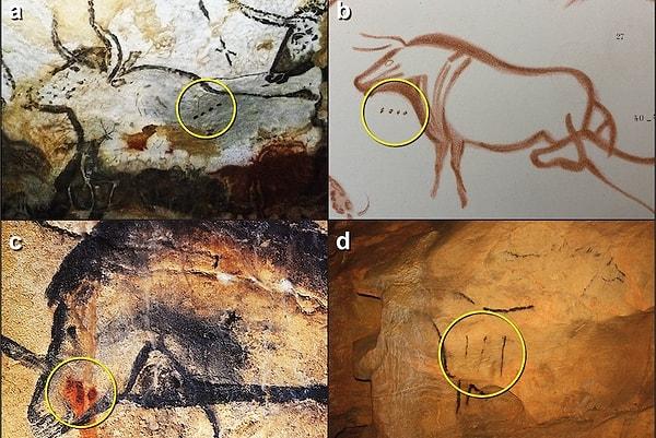 7. Mağaralardaki 20 bin yıllık "noktalar" en eski yazı örnekleri olabilir.