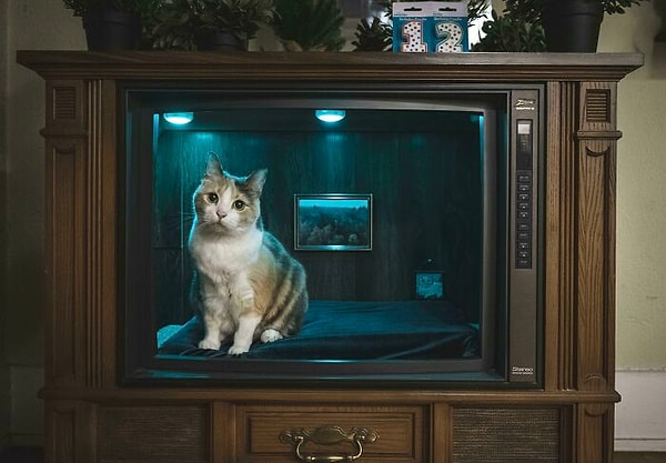 17. Лежанка для кота в старом телевизоре