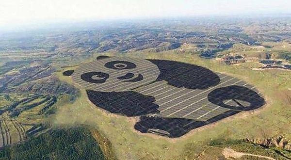 17. Çin'de yukarıdan bakılınca bir panda gibi görünen güneş enerjisi tesisi👇