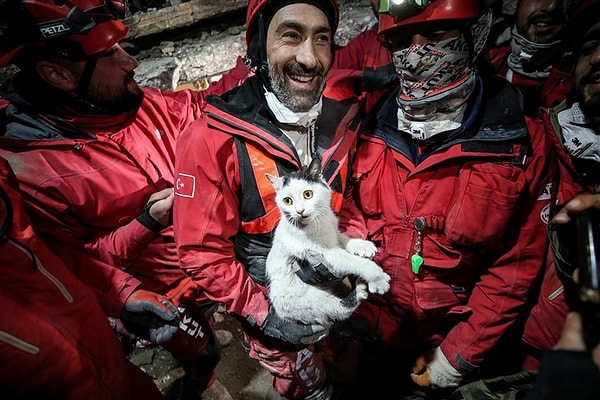 00.30 Hatay'da 116 saat sonra bir kedi, binanın enkazından sağ çıkarıldı.