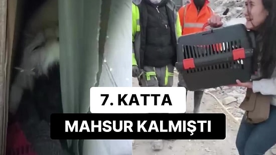 Artçı Sarsıntılar Arasında 7. Katta Mahsur Kalan Kediyi Kurtardı