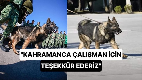 Meksika’dan Gelen Kurtarma Köpeği Hayatını Kaybetti: "Kahramanca Çalışman İçin Teşekkür Ederiz”