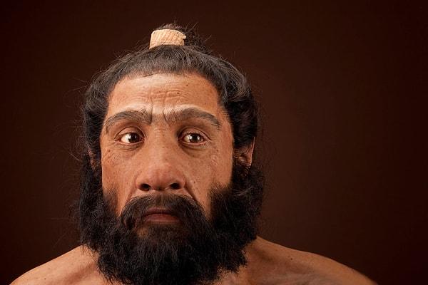 Bilim insanları, insanlardaki saç dökülmesinin arkasındaki nedenleri ve saçsız derinin evrimini uzun süredir tartışıyorlar.