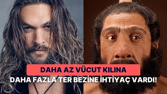 Vücudunun Çoğu Tüylerle Kaplı Akrabalarımızdan Günümüz Tüysüz İnsanlarına: Neden Zamanla Tüylerimiz Azaldı?