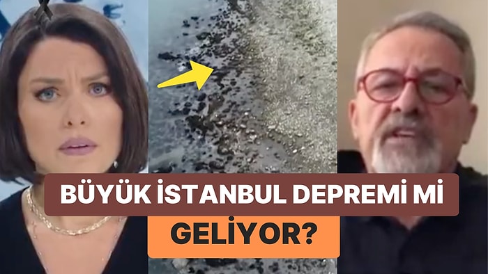 Prof. Dr. Naci Görür Akıllardaki Soruya Yanıt Verdi: Deniz Çekilmesi Depremin Habercisi mi?