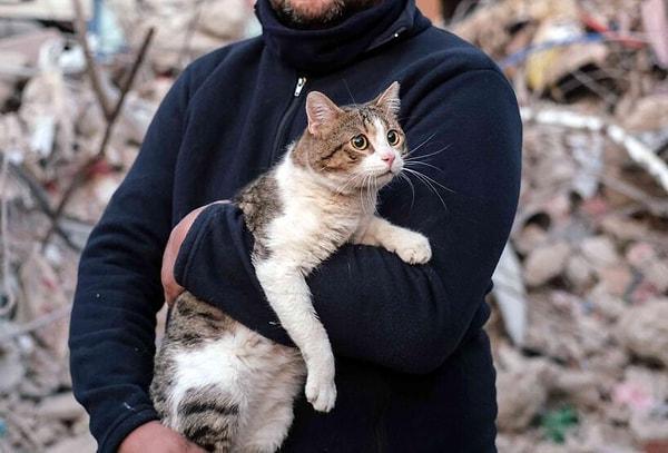 Depremin 110. saatinde Kahramanmaraş'ta yıkılan 7 katlı bir binanın enkazından bulunan bir kedi...