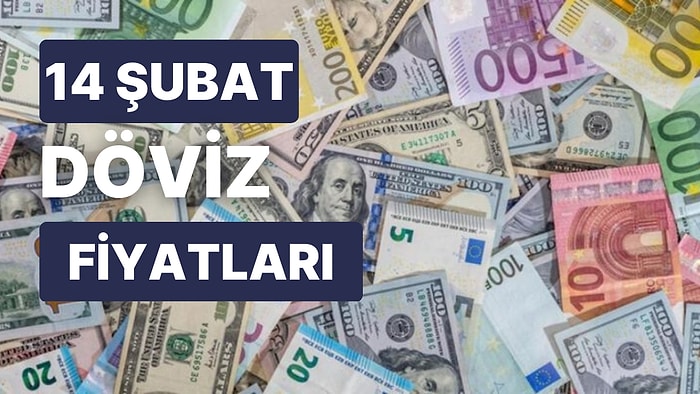 14 Şubat 2023 Güncel Döviz Kuru USD Fiyatı: Bugün Dolar Fiyatı Ne Kadar? 1 Dolar Ne Kadar, Kaç TL?