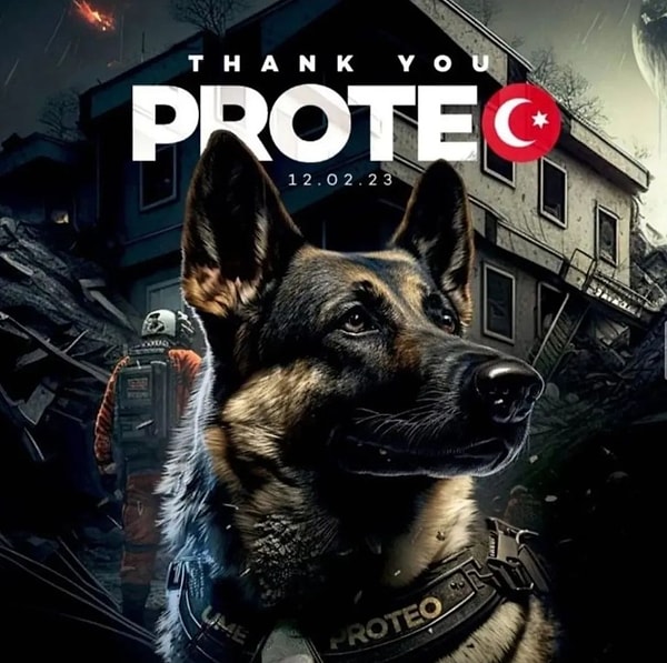 Her şey için teşekkür ederiz Proteo. Seni hiç unutmayacağız...