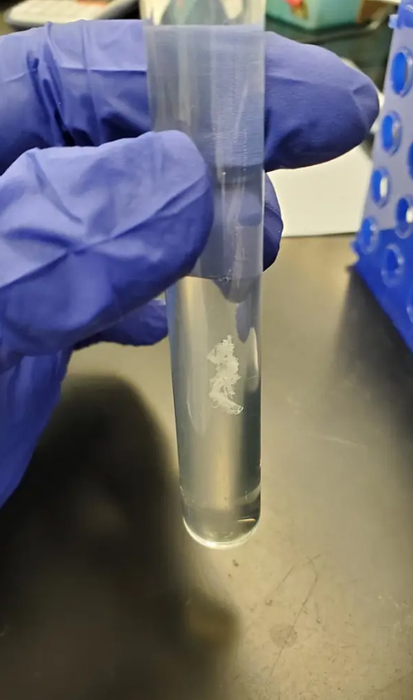 15. Вот так на самом деле выглядит ДНК: