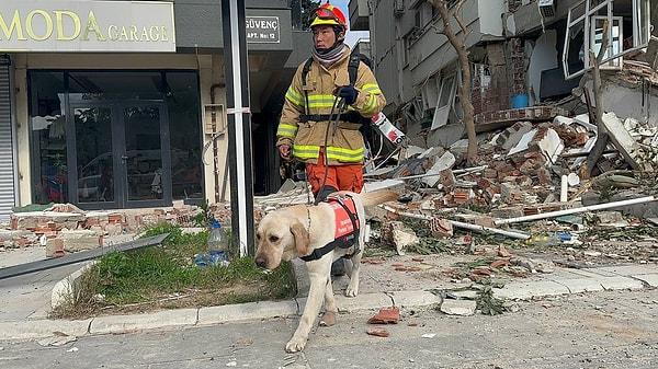 Güney Koreli ekibe arama kurtarma köpekleri de çalışma boyunca eşlik etti.