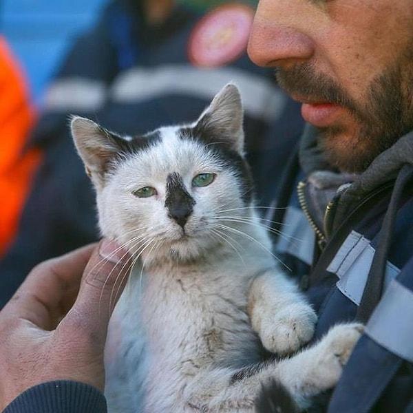 Çakas, depremin 129. saatinde enkazdan kurtardığı kedinin adını 'Enkaz' koydu.