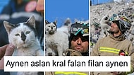 Depremin 129. Saatinde Kurtarılan 'Enkaz' Kedinin Hikayesi İçimizi Isıttı