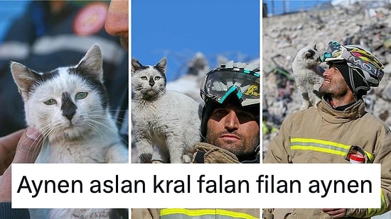 Depremin 129. Saatinde Kurtarılan 'Enkaz' Kedinin Hikayesi İçimizi Isıttı
