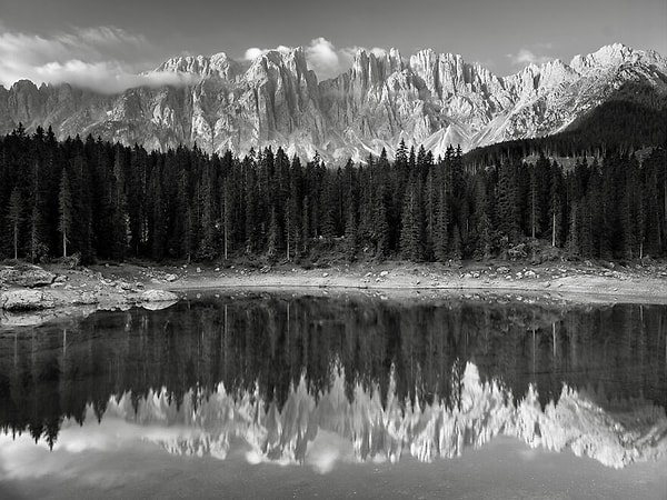 Финалист: Шарлотте Ладефогед