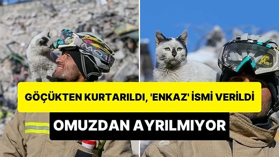 Göçük Altından Çıkarılarak 'Enkaz' İsmi Verilen Kedi Kendisini Kurtaran İtfaiye Erinin Omzundan Ayrılmıyor