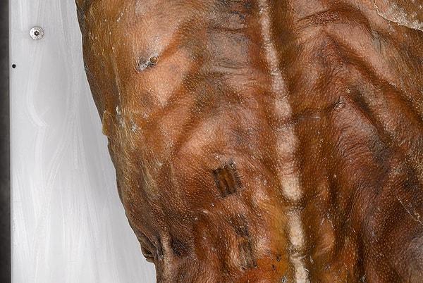 Dünyadaki en eski dövme kanıtı da İtalya-Avusturya sınırında Ötzi adı verilen eski bir mumyada bulundu. Bu tarih öncesi insanın, milattan önce 5000 ile 4000 bin yılları arasında yaşadığı düşünülüyor. Buz adam Ötzi'nin 57 dövmesi vardı.