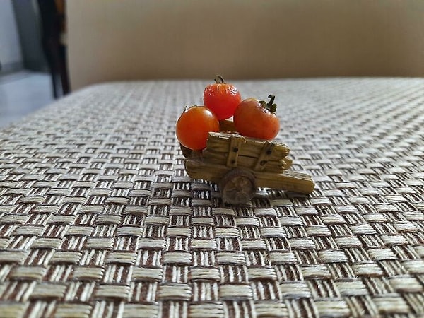 Моя тележка определенно накормит целую деревню!