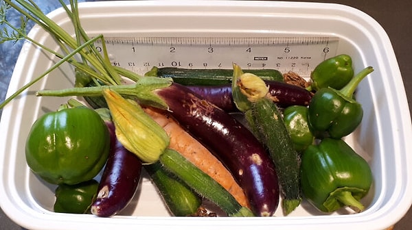 Плоды моего усердного труда за год