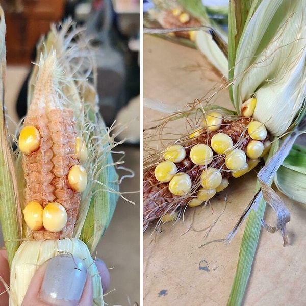 Это должно поддержать нас на протяжении всей зимы