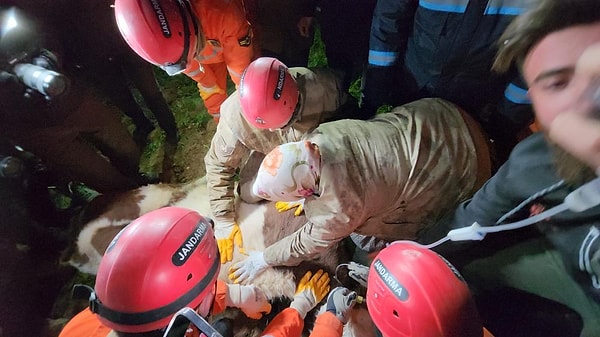 Binlerce yıkılan ve ağır hasarlı binanın bulunduğu Adıyaman’da acı hikayelerin yanı sıra yürekleri ısıtan görüntüler de ortaya çıkıyor.