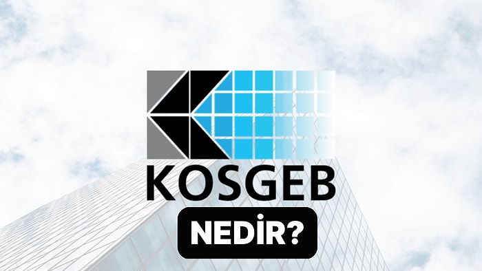 Küçük ve Orta Ölçekli İşletmeleri Geliştirme ve Destekleme İdaresi Başkanlığı: KOSGEB Nedir?