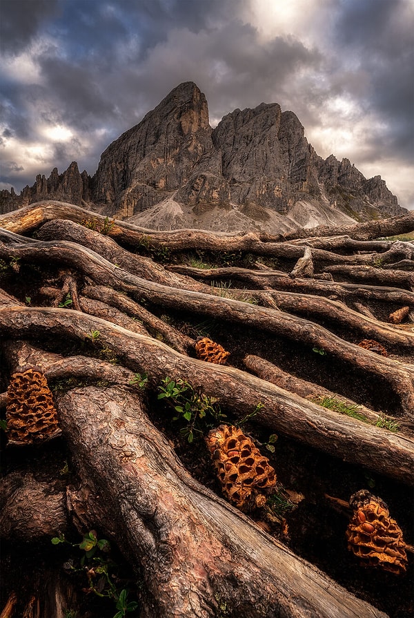 Влатко Рафески, шорт-лист региональных премий Кипра, Греции, Болгарии и Северной Македонии
