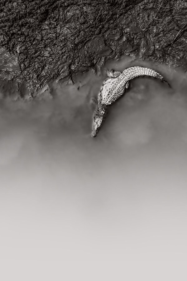 Андрес Новалес, Латинская Америка — шорт-лист Национальной премии