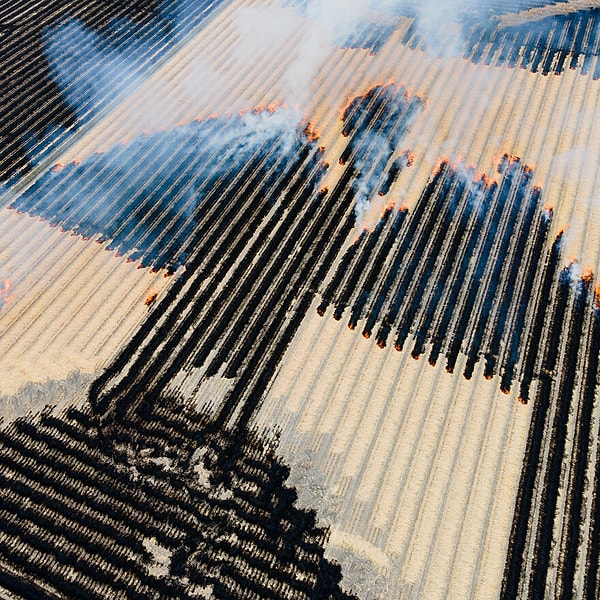 Хадзиме Хирано, Япония — Национальная премия, 1-е место