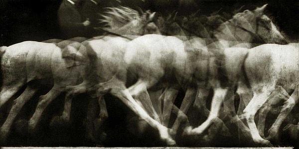 Duchamp, Étienne-Jules Marey'in bu fotoğrafından çok etkilenmişti.