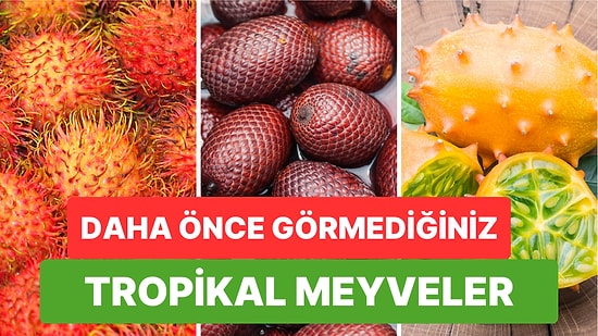 Ekmek Meyvesinden Ejder Meyvesine, Kiwanodan Akeye Daha Önce Görmediğiniz Tropikal Meyveler