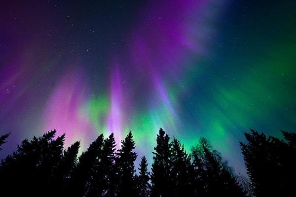 Dünya'nın kutup ışıklarına, atmosferdeki gazlarla çarpışarak gördüğümüz renkleri üreten ve yüklü parçacıkları kutuplara doğru kanalize eden manyetik alan neden olur.