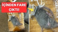 Yeni Bir Fare Skandalı Daha: İnternetten Sipariş Ettiği Ekmek Poşetinin İçinden Canlı Fare Çıktı!